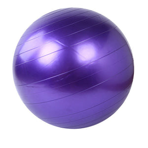 Home Exercise Workout Fitness Gym Yoga Ball